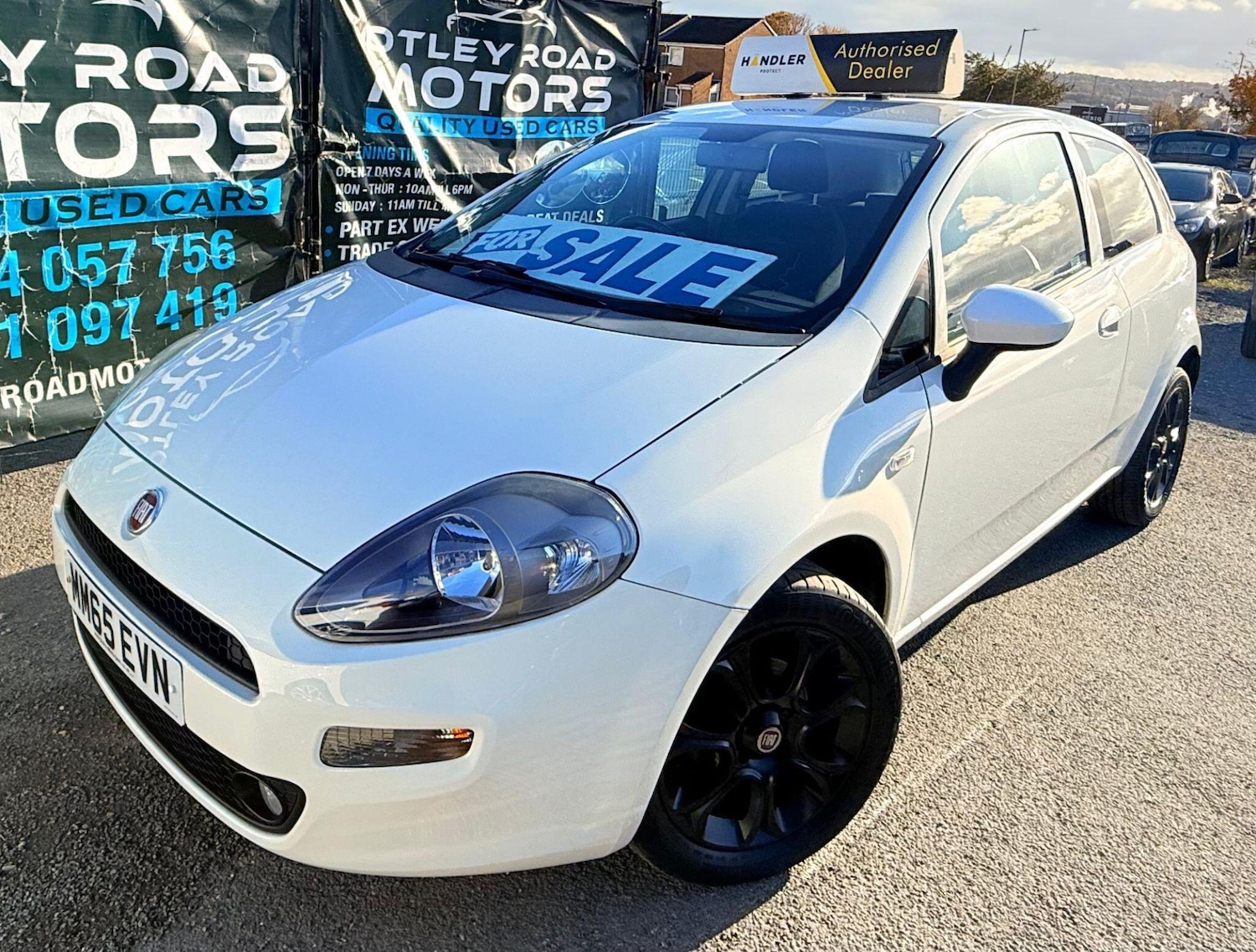 Used Fiat Punto for sale - 76549905: Photo 19