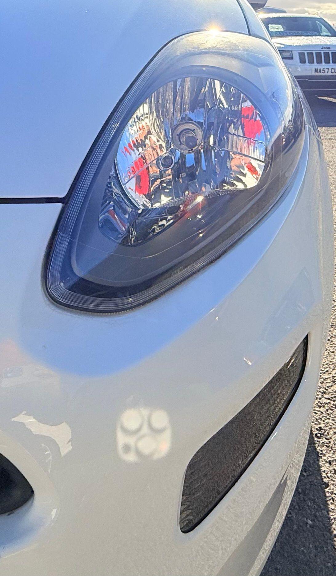 Used Fiat Punto for sale - 76549905: Photo 43