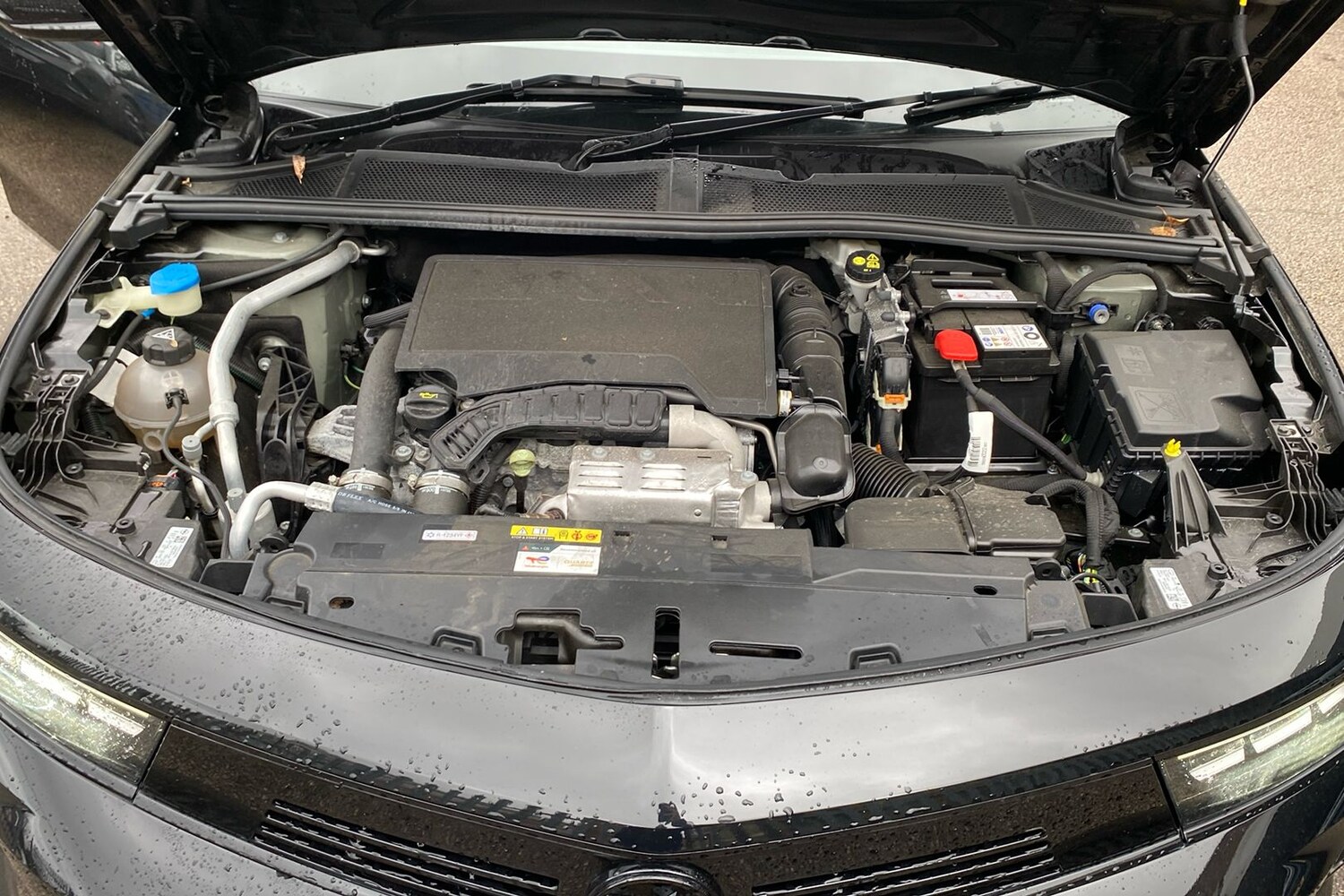 Used Vauxhall Astra 2024 for sale - 77288965: Photo 41