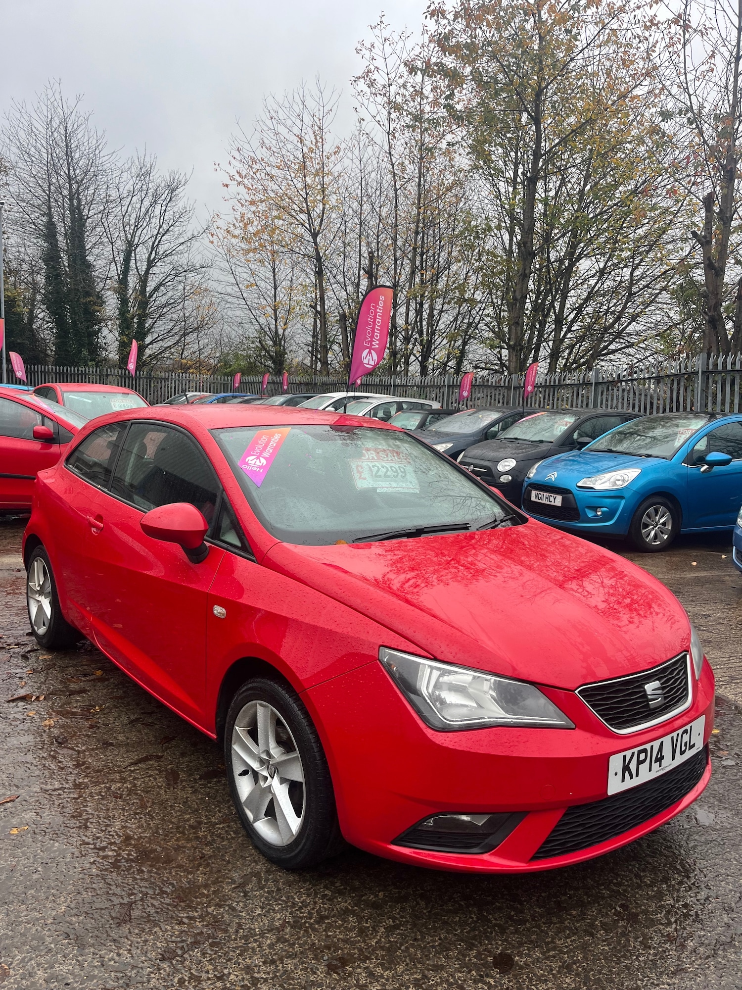 Used SEAT Ibiza 2014 for sale - 76468814: Photo 3