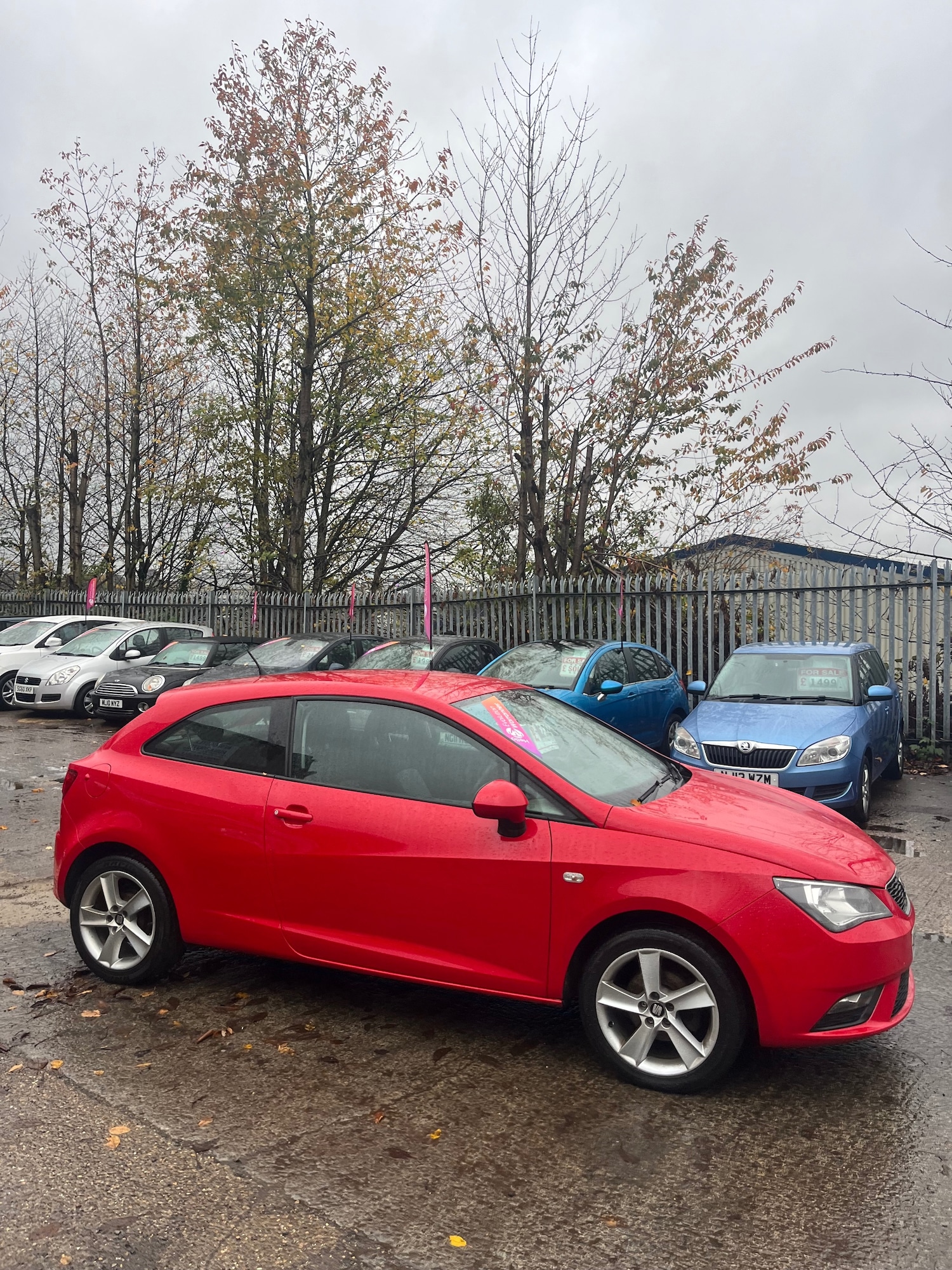 Used SEAT Ibiza 2014 for sale - 76468814: Photo 4