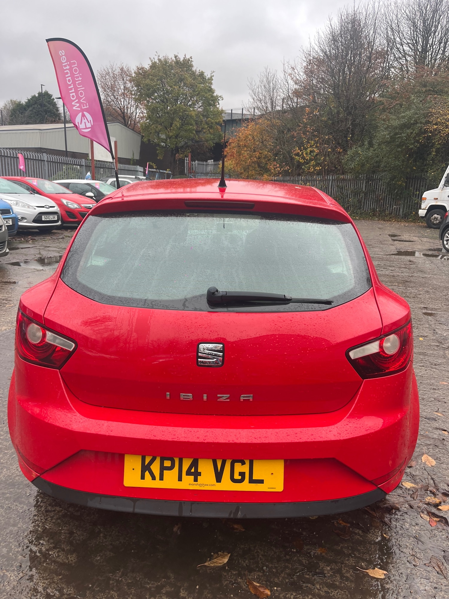 Used SEAT Ibiza 2014 for sale - 76468814: Photo 5
