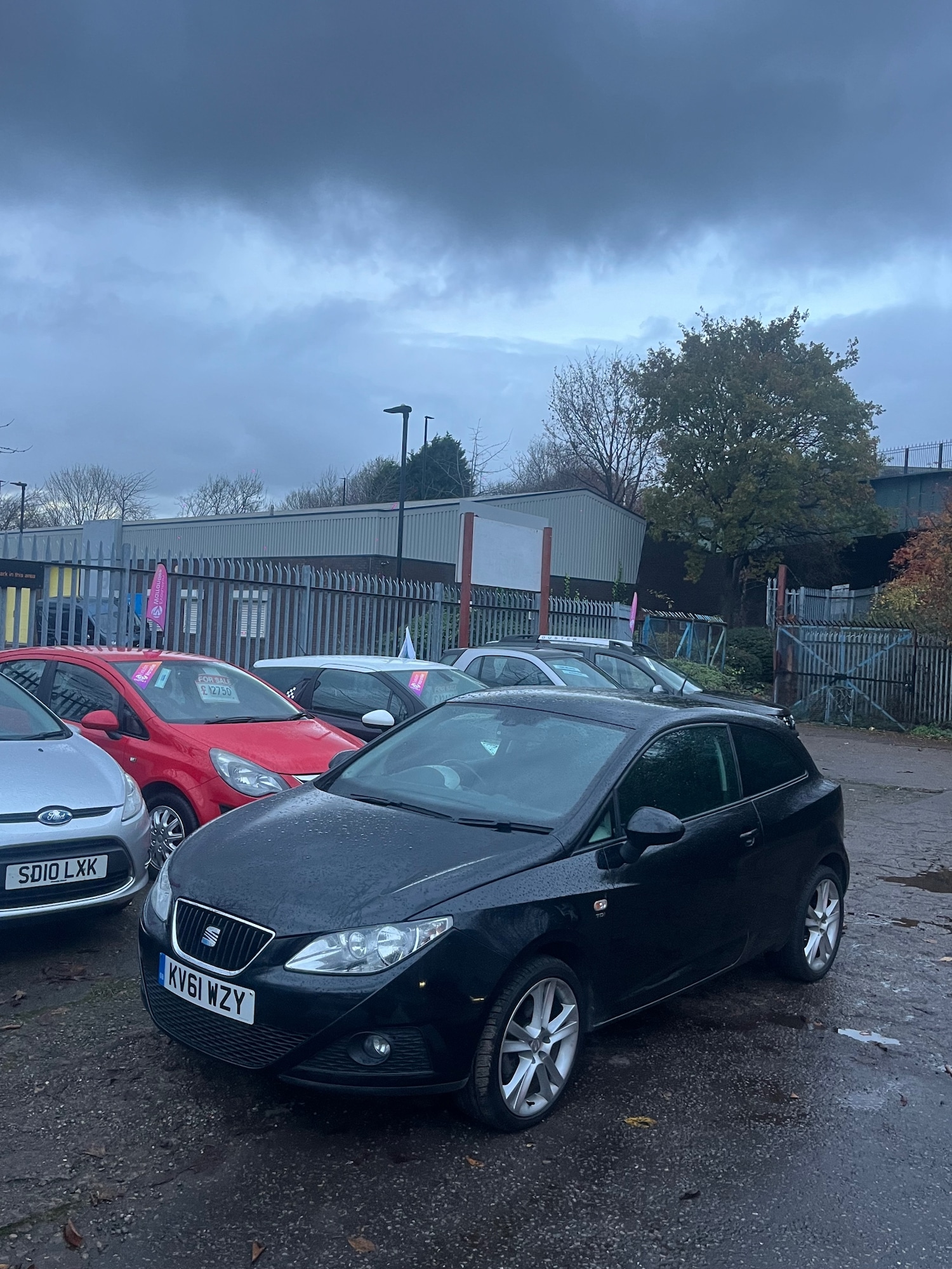 Used SEAT Ibiza 2011 for sale - 76580334: Photo 1