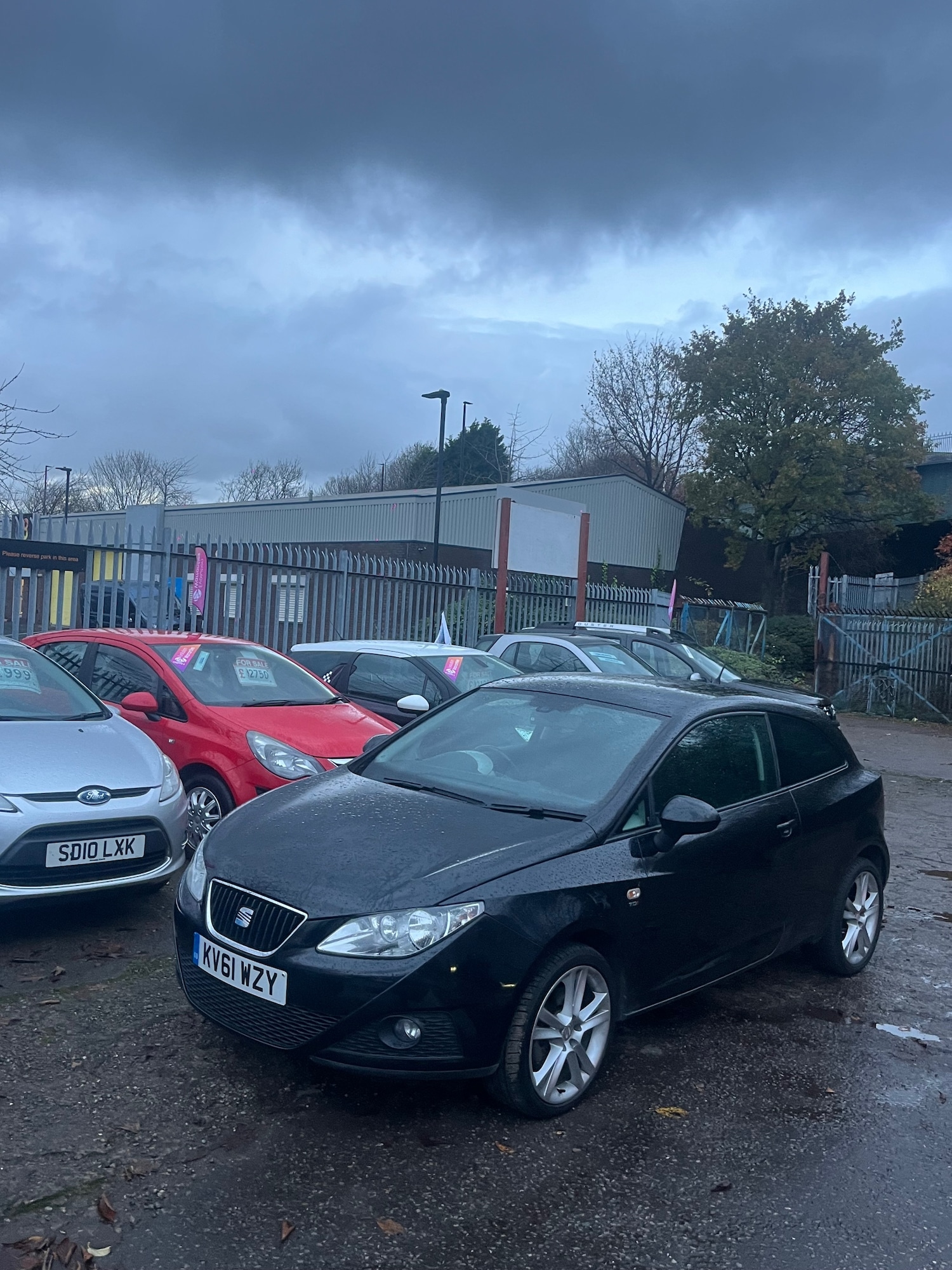 Used SEAT Ibiza 2011 for sale - 76580334: Photo 2