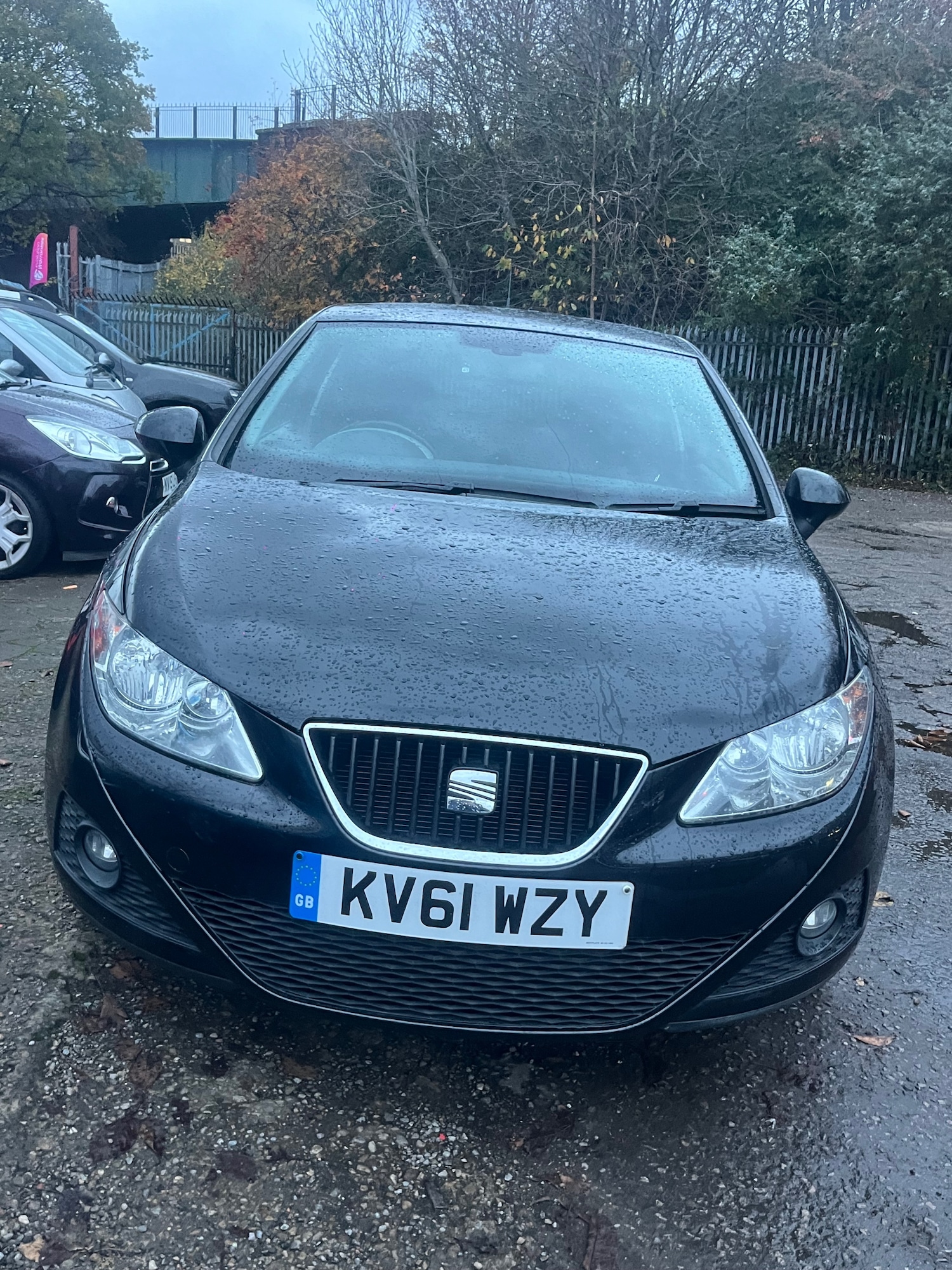Used SEAT Ibiza 2011 for sale - 76580334: Photo 3