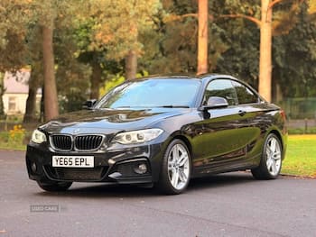 Used BMW 2 Series 2016 for sale - 79646773: Photo