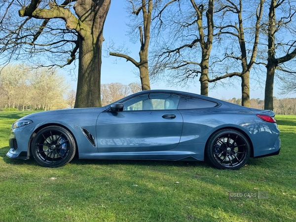 Used BMW 8 Series 2018 for sale - 73800527: Photo 8