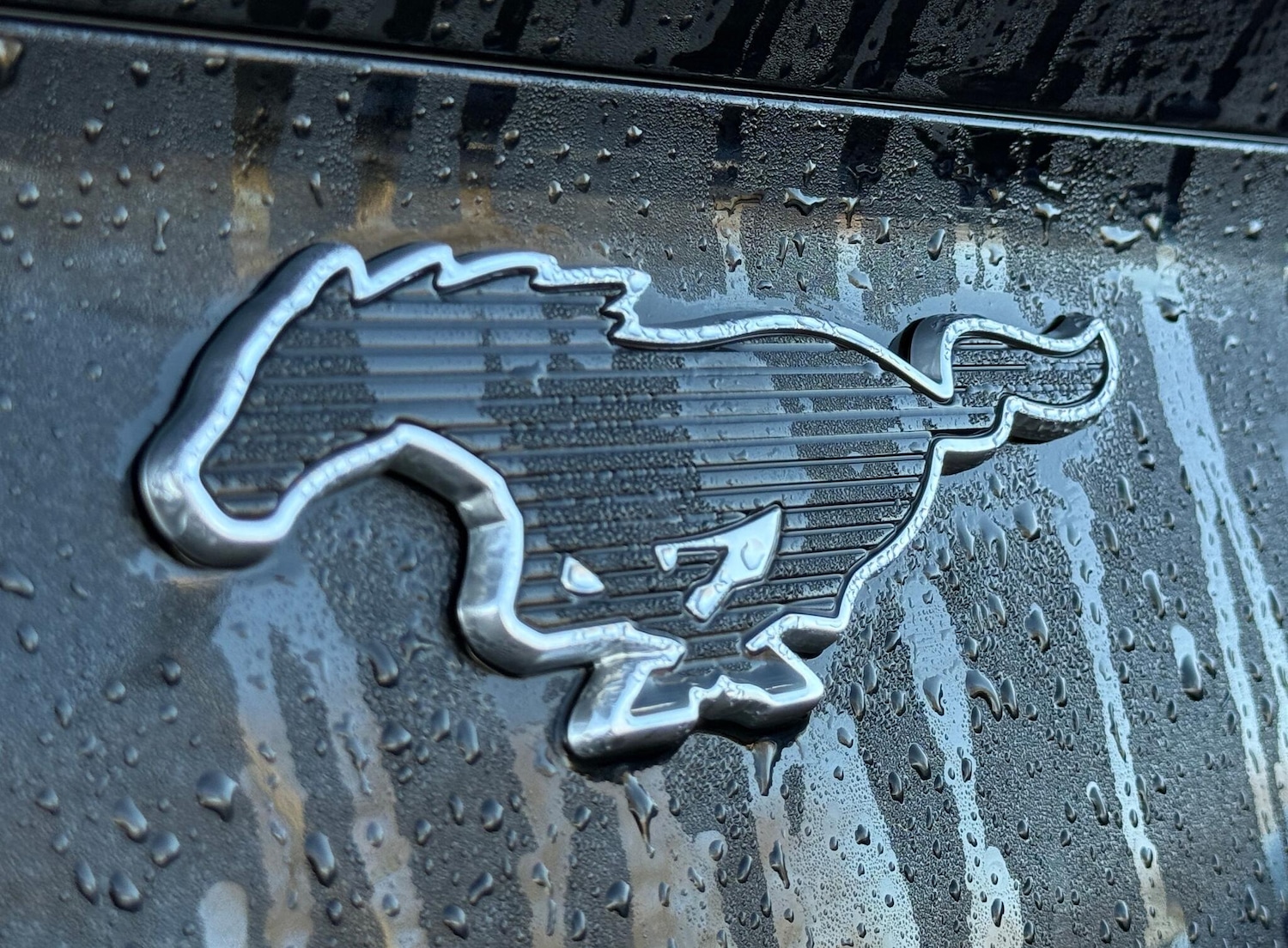 Used Ford Mustang Mach-E 2023 for sale - 77229515: Photo 47