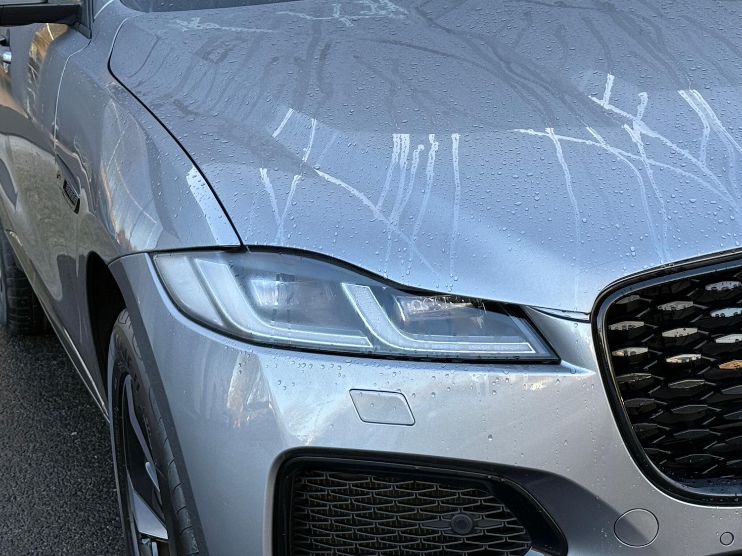 Used Jaguar F-Pace 2022 for sale - 76781558: Photo 52