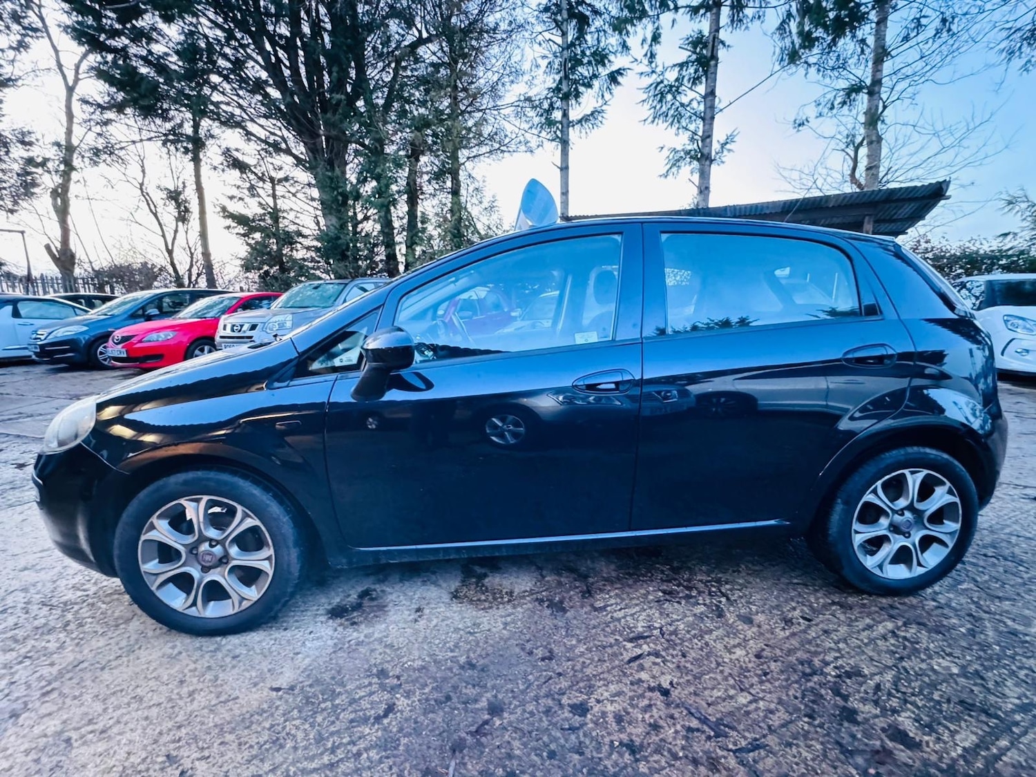 Used Fiat Punto Evo 2010 for sale - 77013187: Photo 7