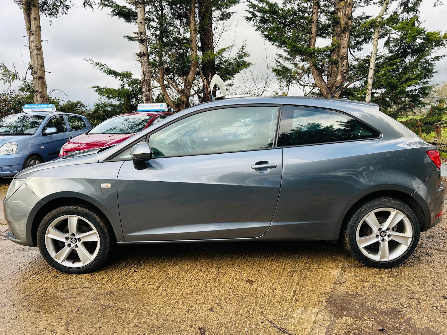 Used SEAT Ibiza 2014 for sale - 77312260: Photo 5