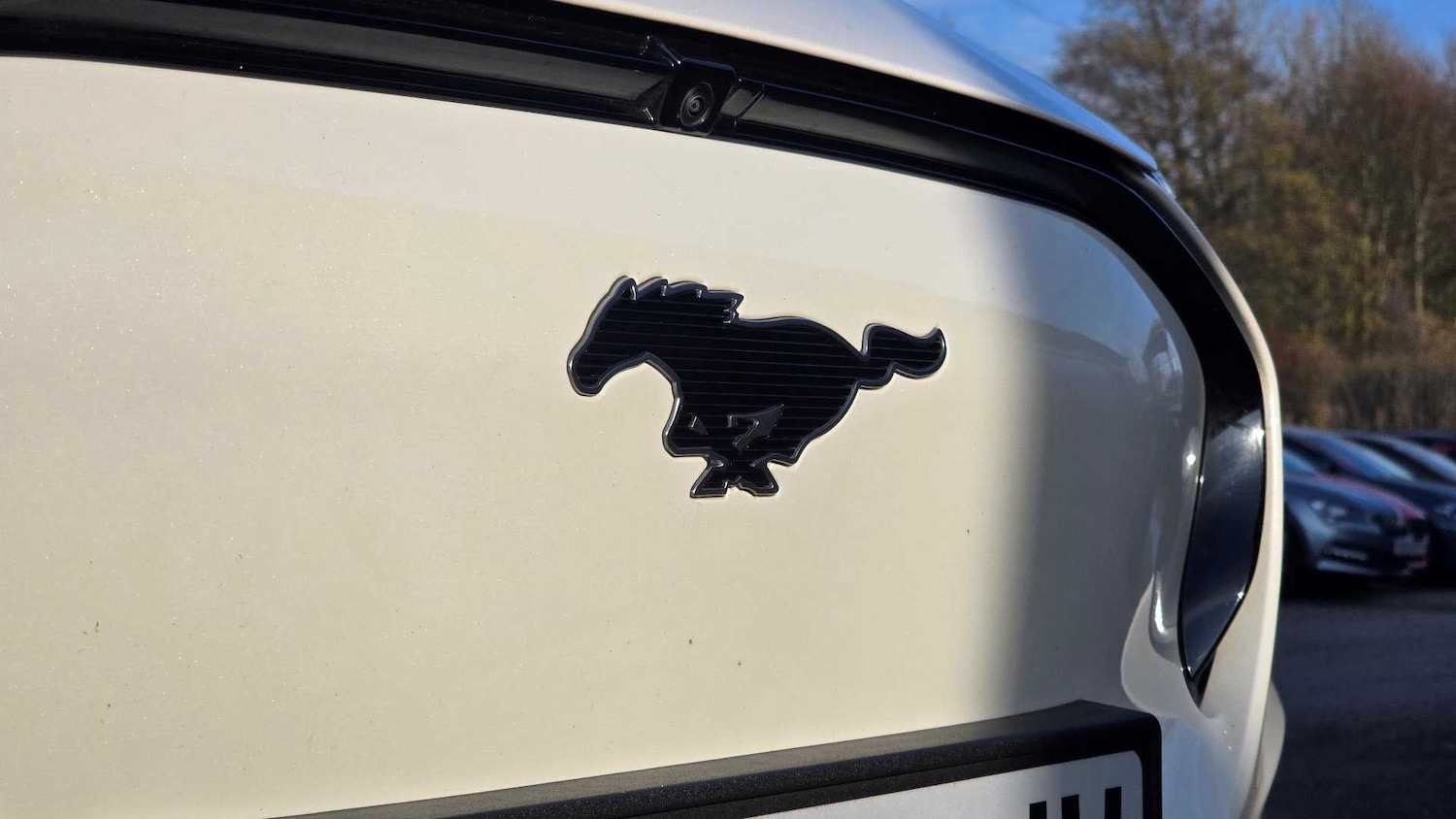 Used Ford Mustang Mach-E 2024 for sale - 76447602: Photo 6