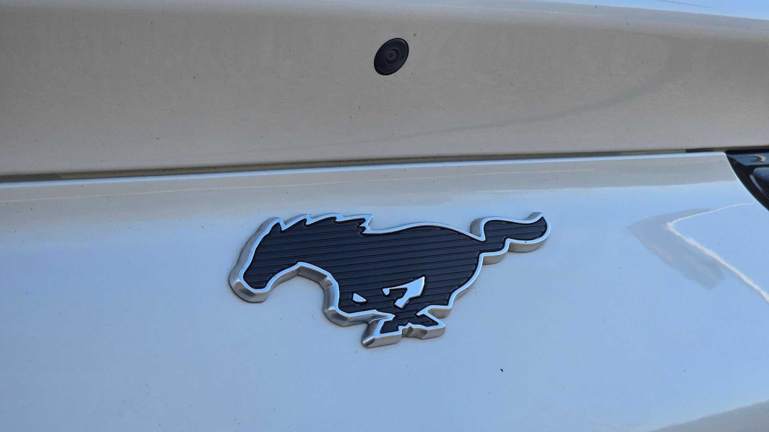 Used Ford Mustang Mach-E 2024 for sale - 76804797: Photo 11