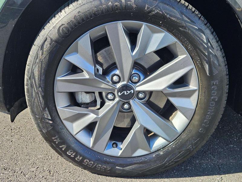 Used Kia Sportage 2024 for sale - 75805662: Photo 14