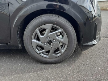 Used Kia Picanto 2024 for sale - 76008553: Photo