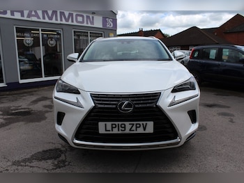 Used Lexus NX 2019 for sale - 78769657: Photo
