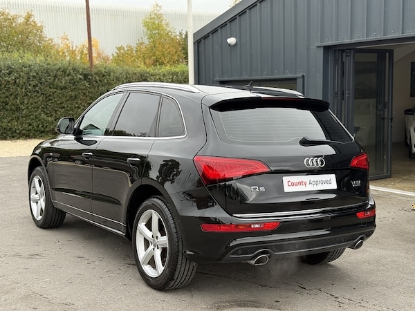 Used Audi Q5 for sale - 76243585: Photo 14