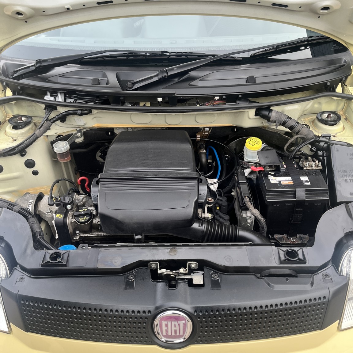 Used Fiat Panda 2010 for sale - 77564199: Photo 32