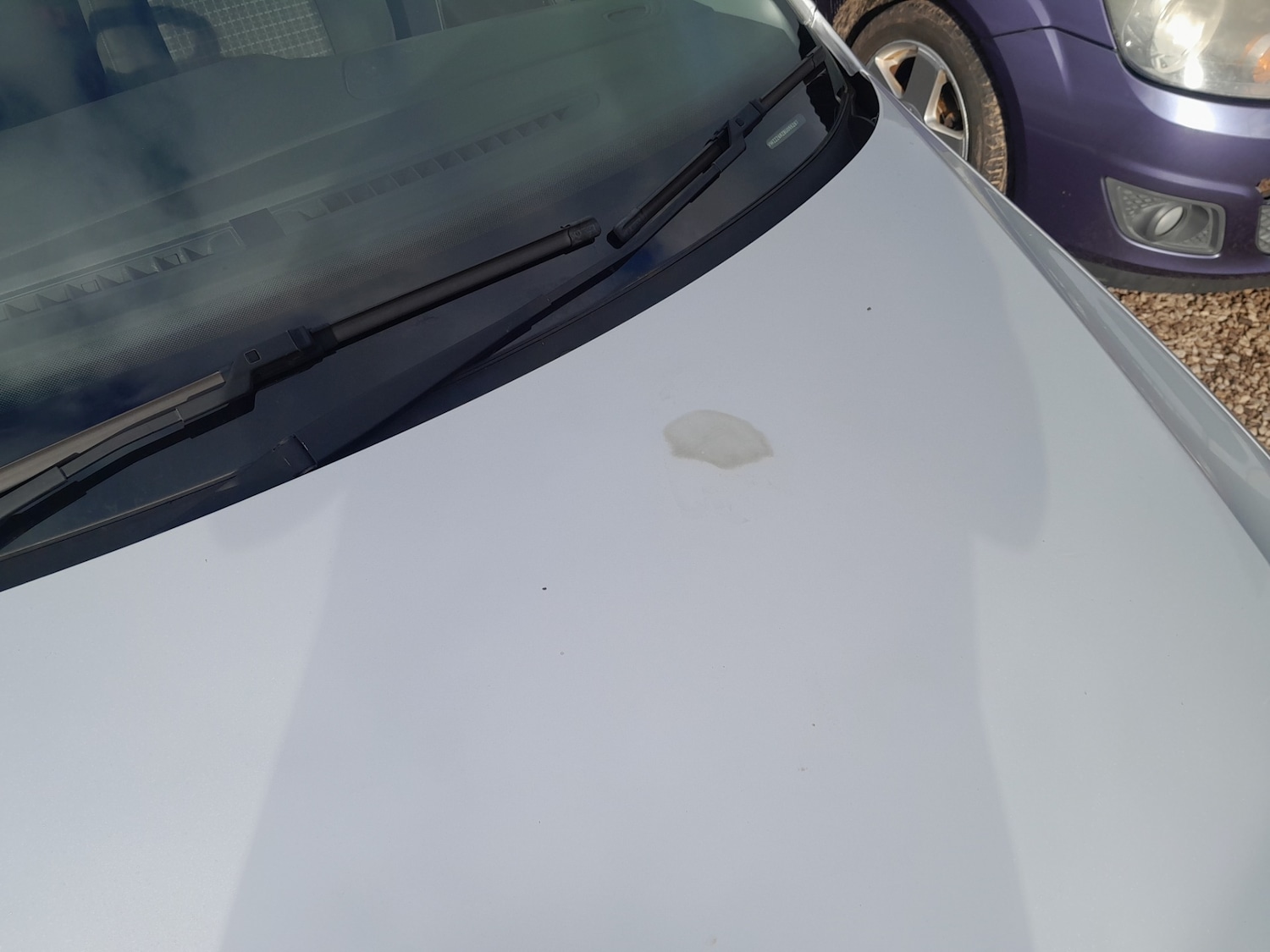 Used Volkswagen Polo 2011 for sale - 77636203: Photo 16