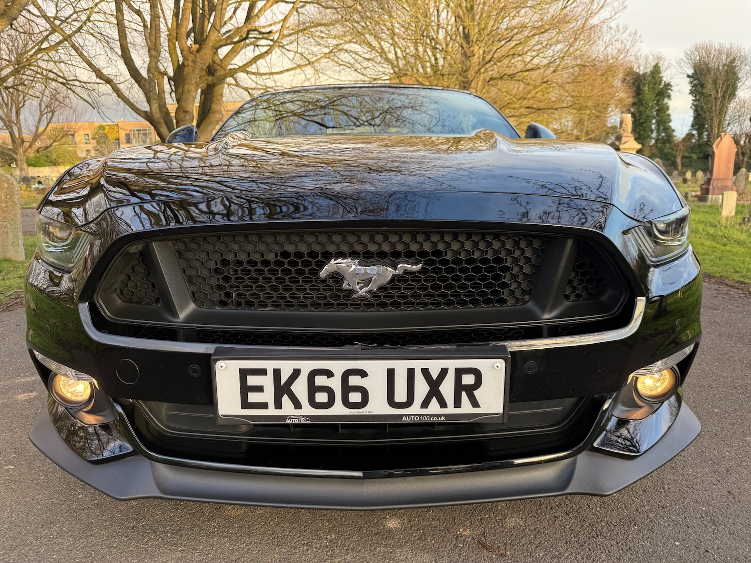 Used Ford Mustang 2016 for sale - 77502296: Photo 2