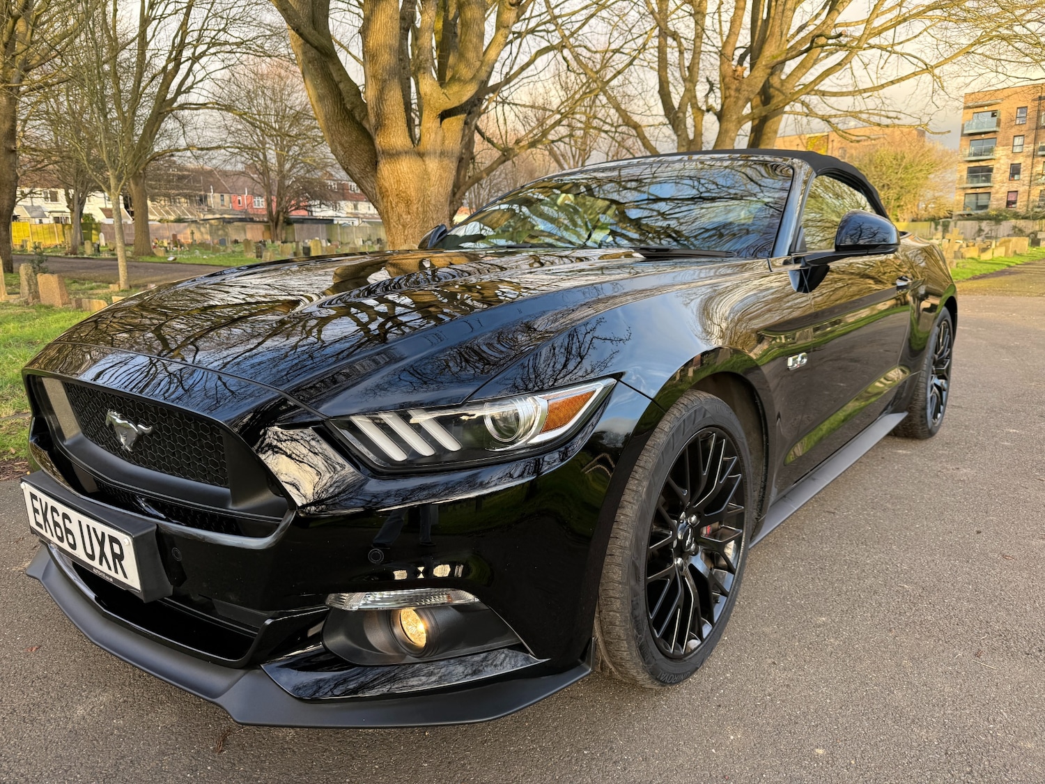 Used Ford Mustang 2016 for sale - 77502296: Photo 3