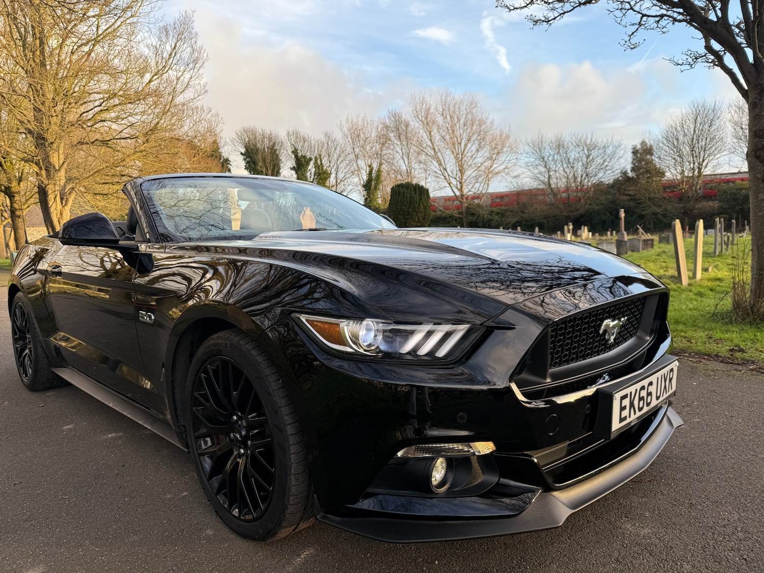 Used Ford Mustang 2016 for sale - 77502296: Photo 6