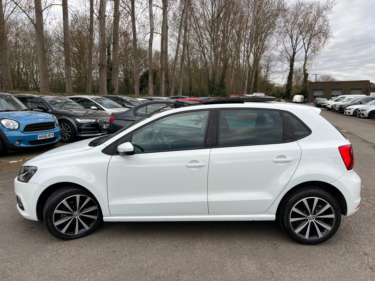 Used Volkswagen Polo 2017 for sale - 77830159: Photo 11