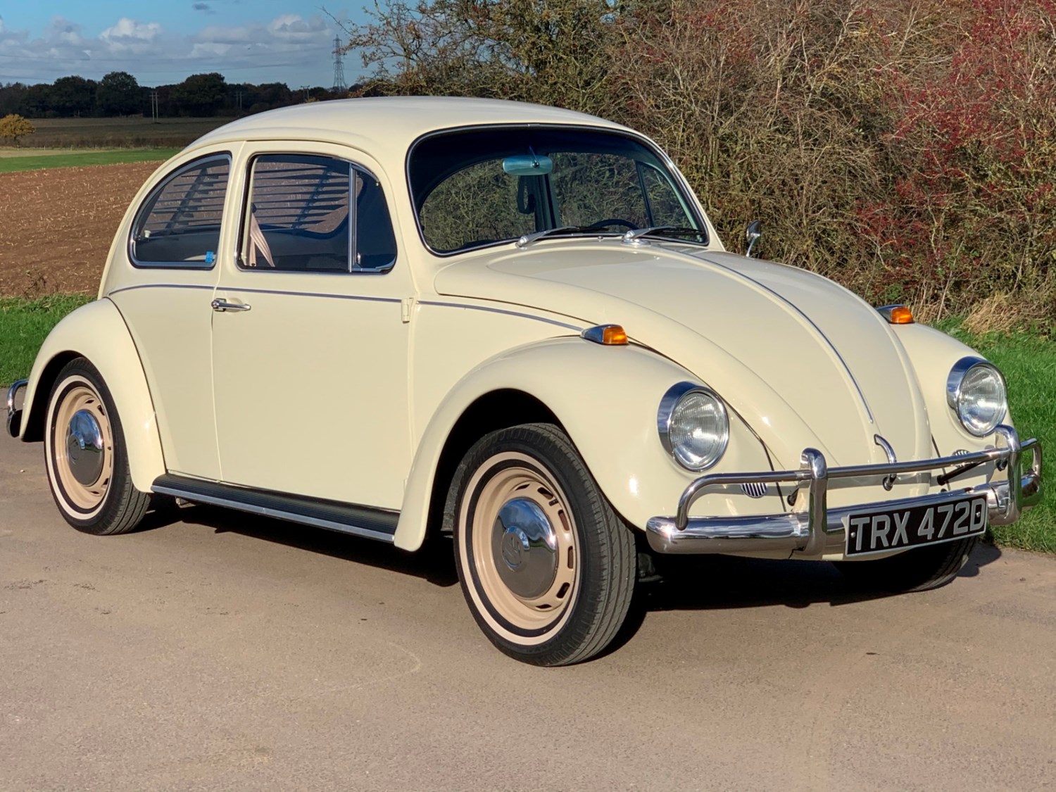 Classic Volkswagen Beetle Cars For Sale | CCFS