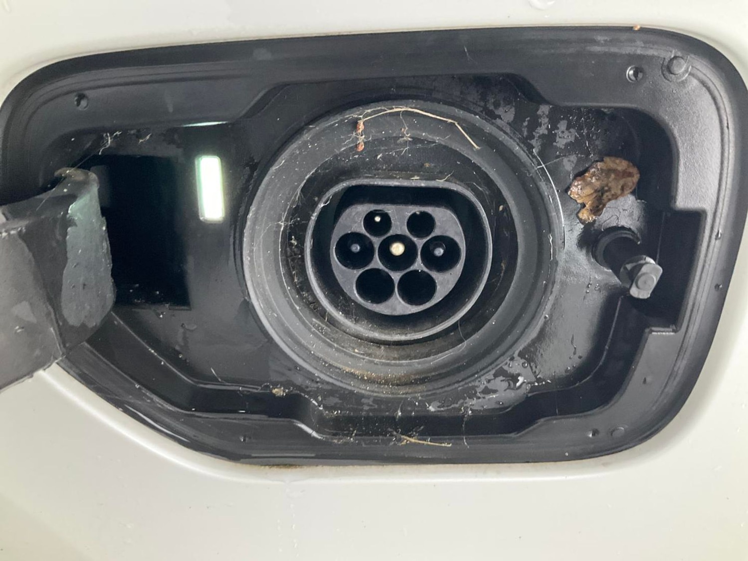 Used BMW 3 Series 2020 for sale - 76191807: Photo 35