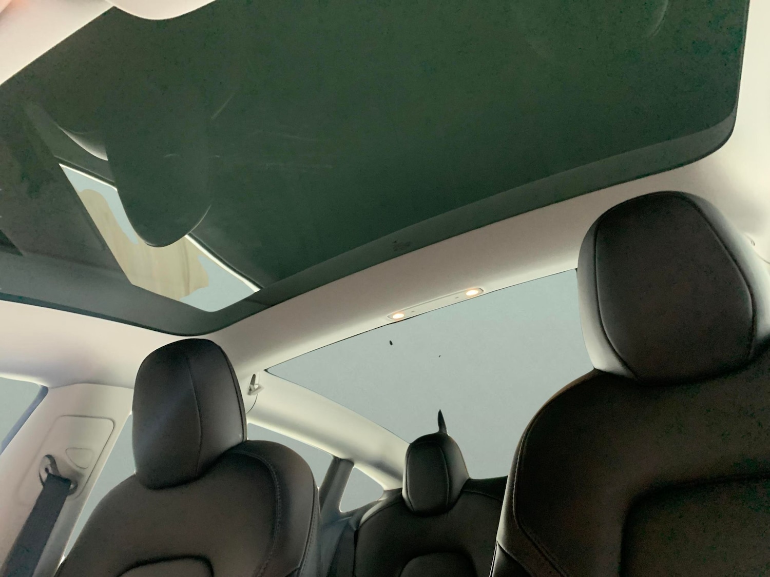 Used Tesla Model 3 2022 for sale - 77178638: Photo 5