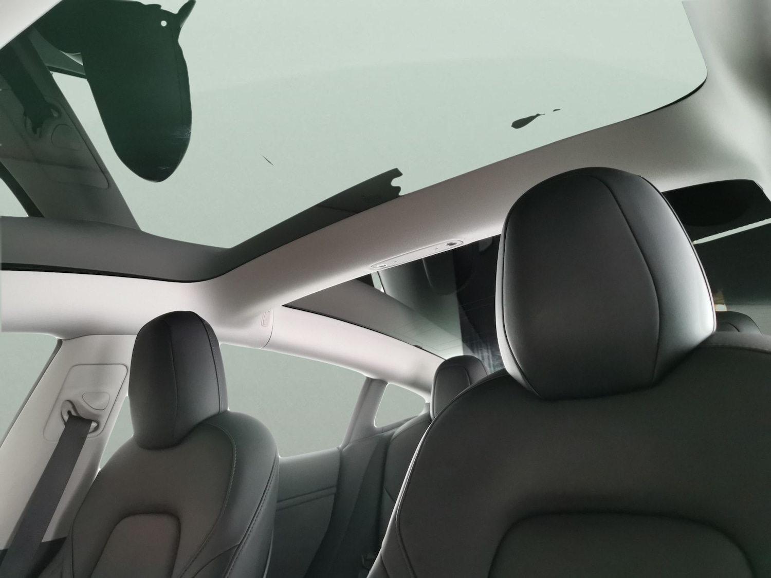 Used Tesla Model 3 2021 for sale - 77123105: Photo 5