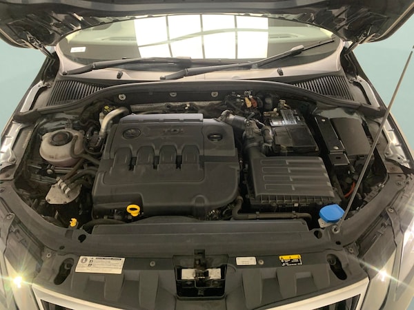 Used Skoda Octavia 2019 for sale - 76222338: Photo 41