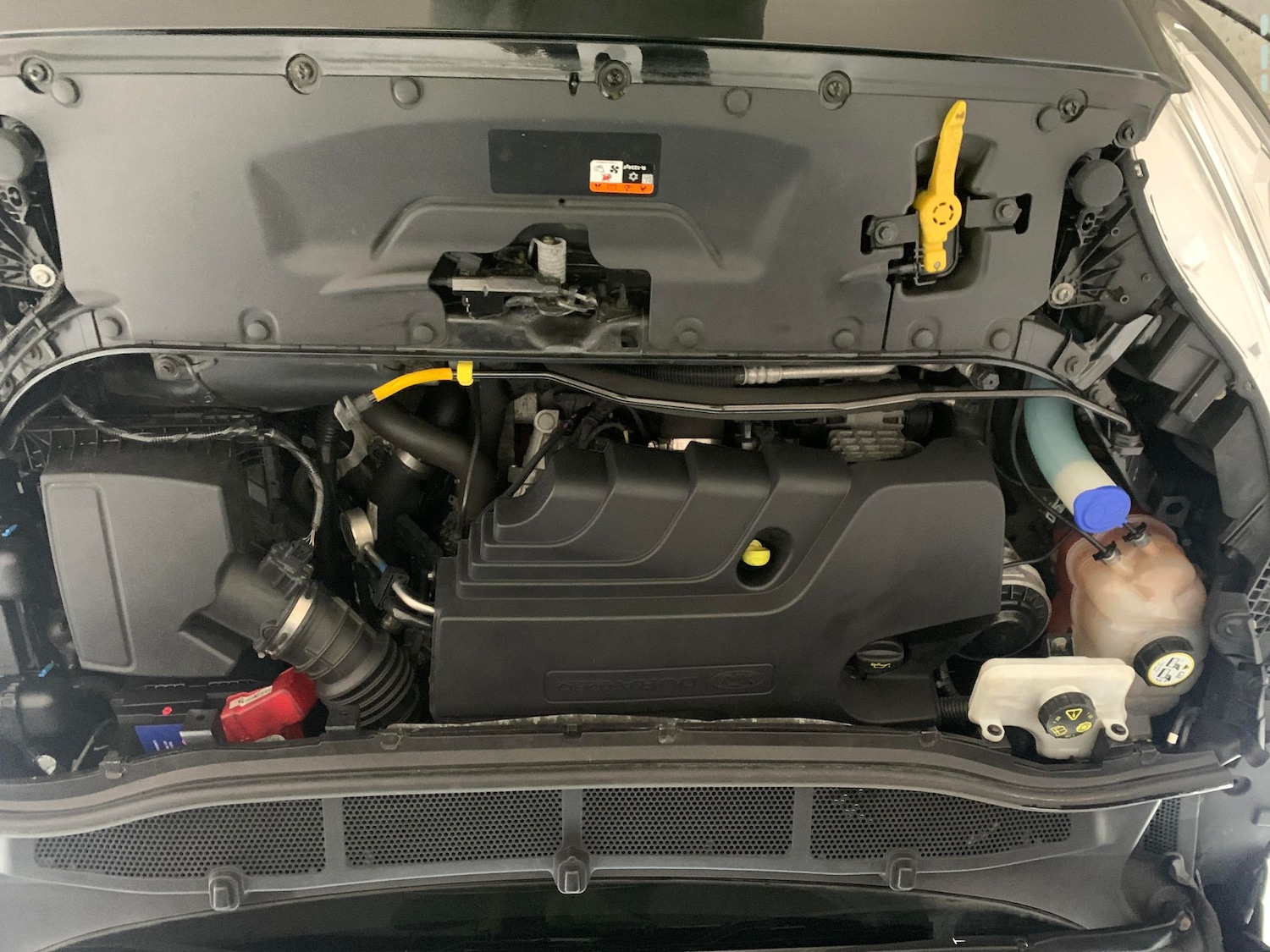 Used Volkswagen Polo 2022 for sale - 77068177: Photo 31