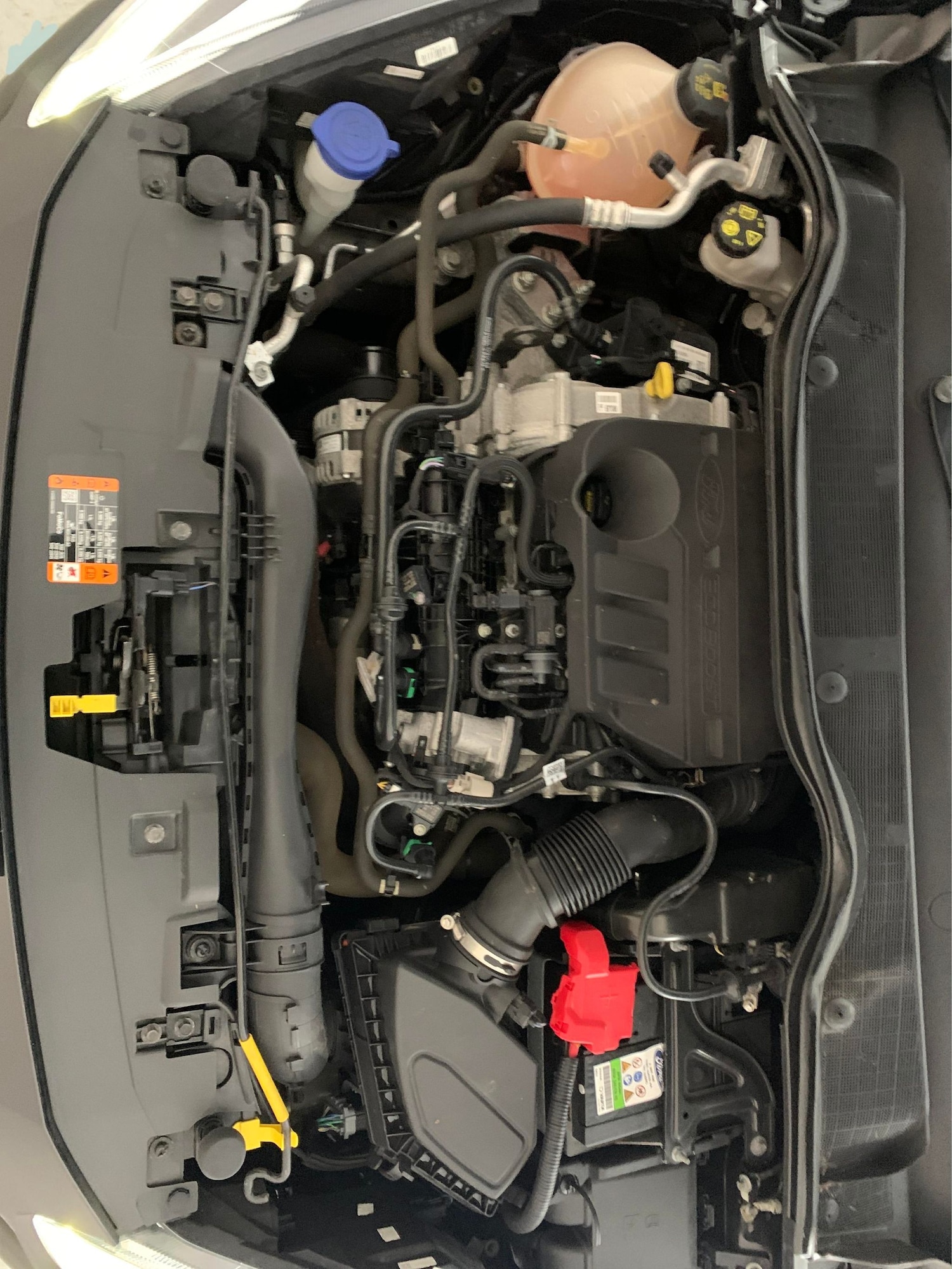 Used Ford Fiesta 2020 for sale - 76941186: Photo 30