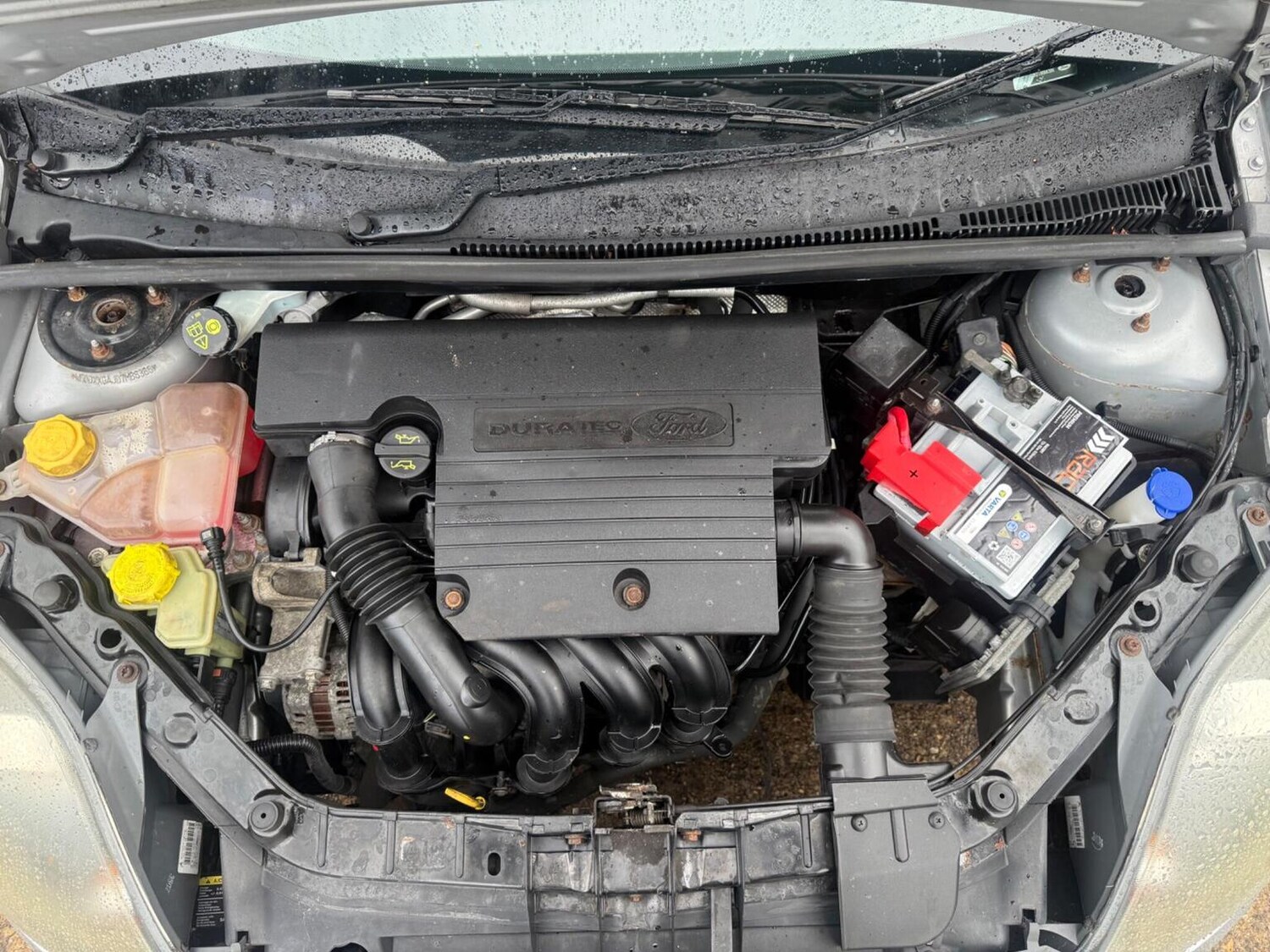 Used Ford Fiesta 2008 for sale - 77578457: Photo 33