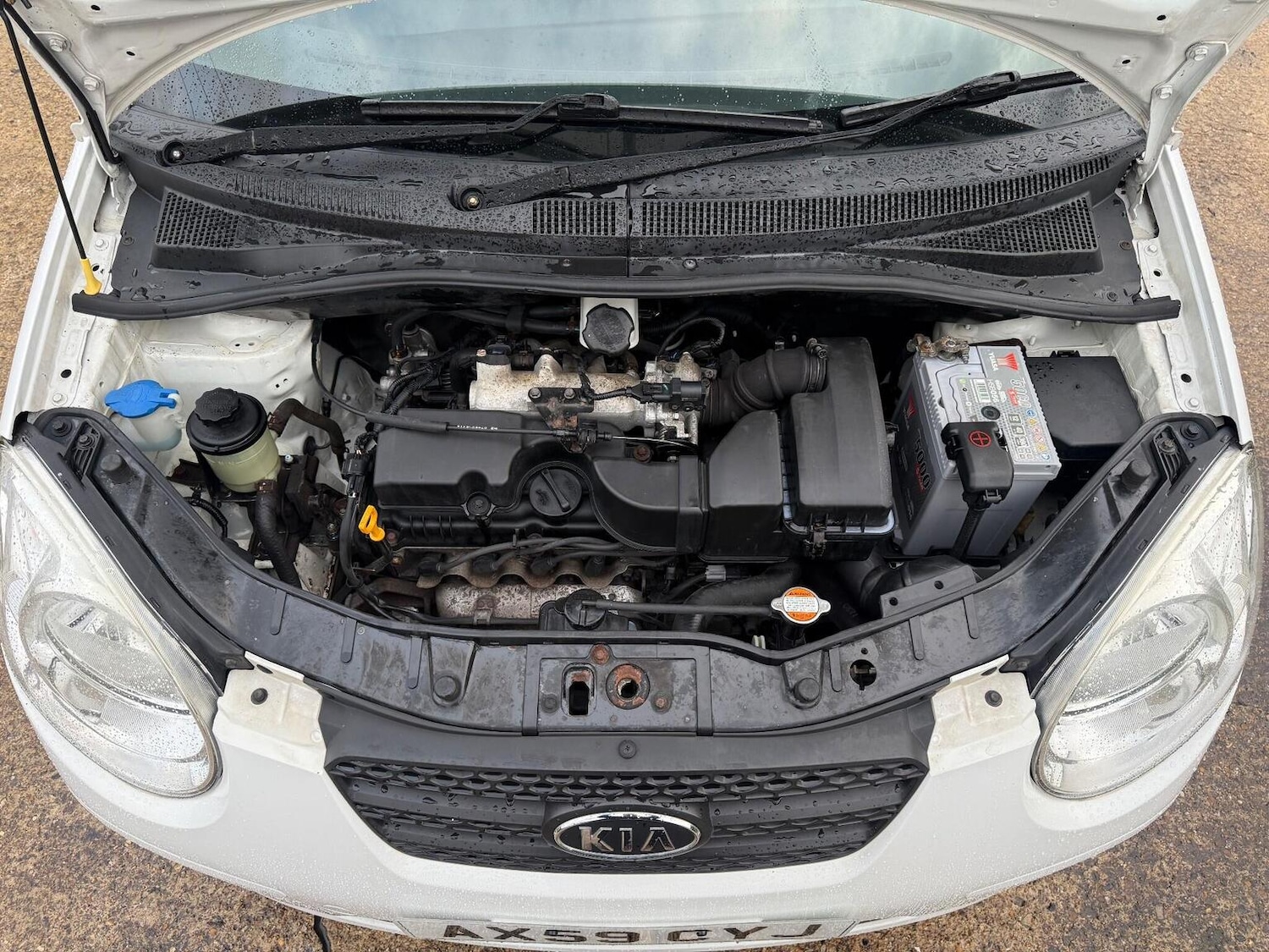 Used Kia Picanto 2010 for sale - 76974421: Photo 38