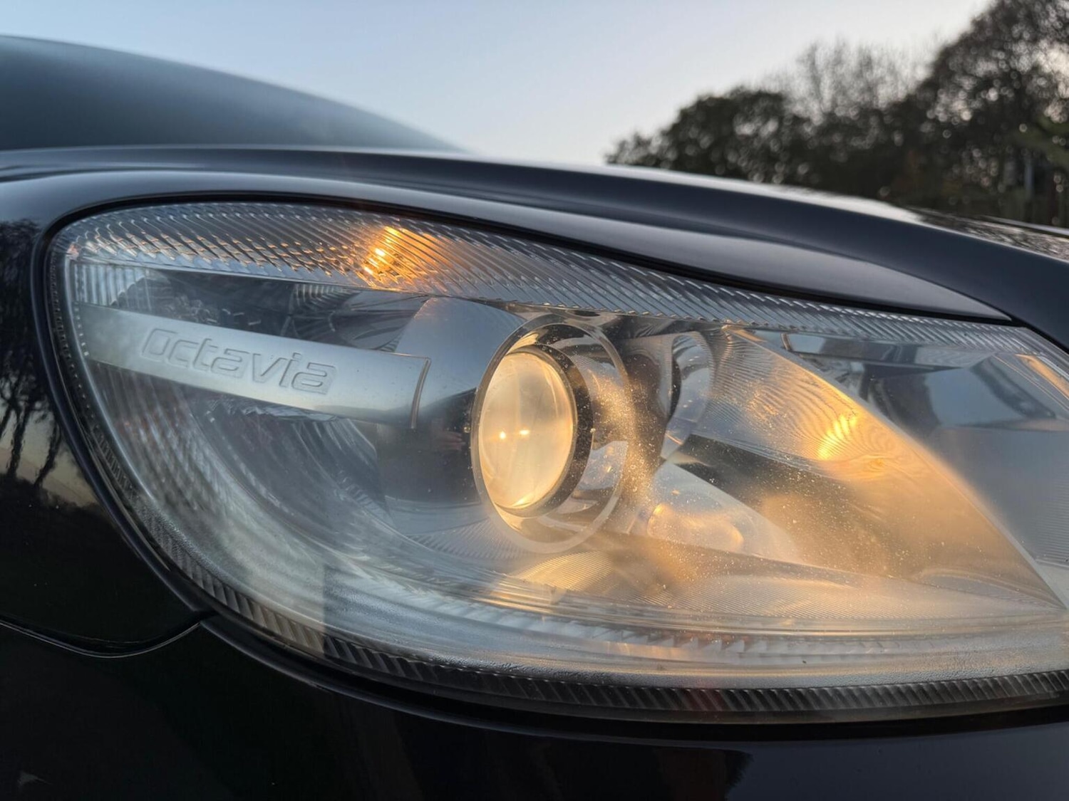 Used Skoda Octavia 2012 for sale - 76687135: Photo 51