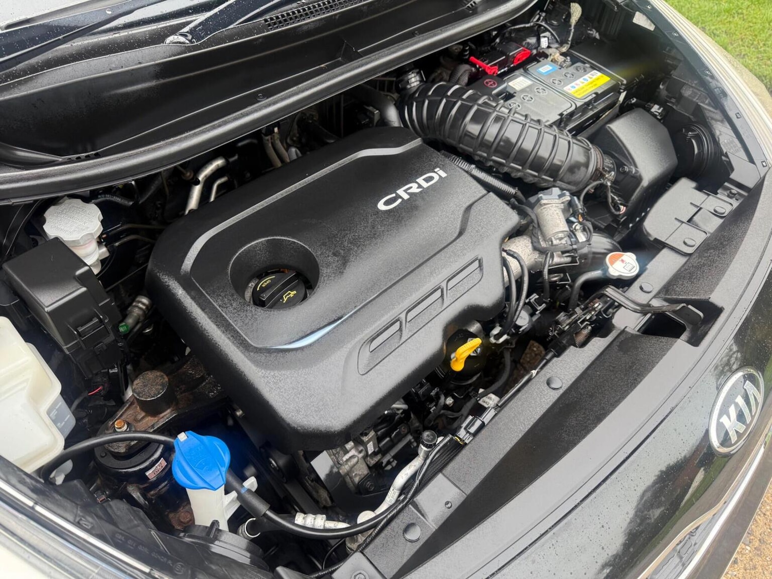 Used Kia Rio 2014 for sale - 77478032: Photo 35