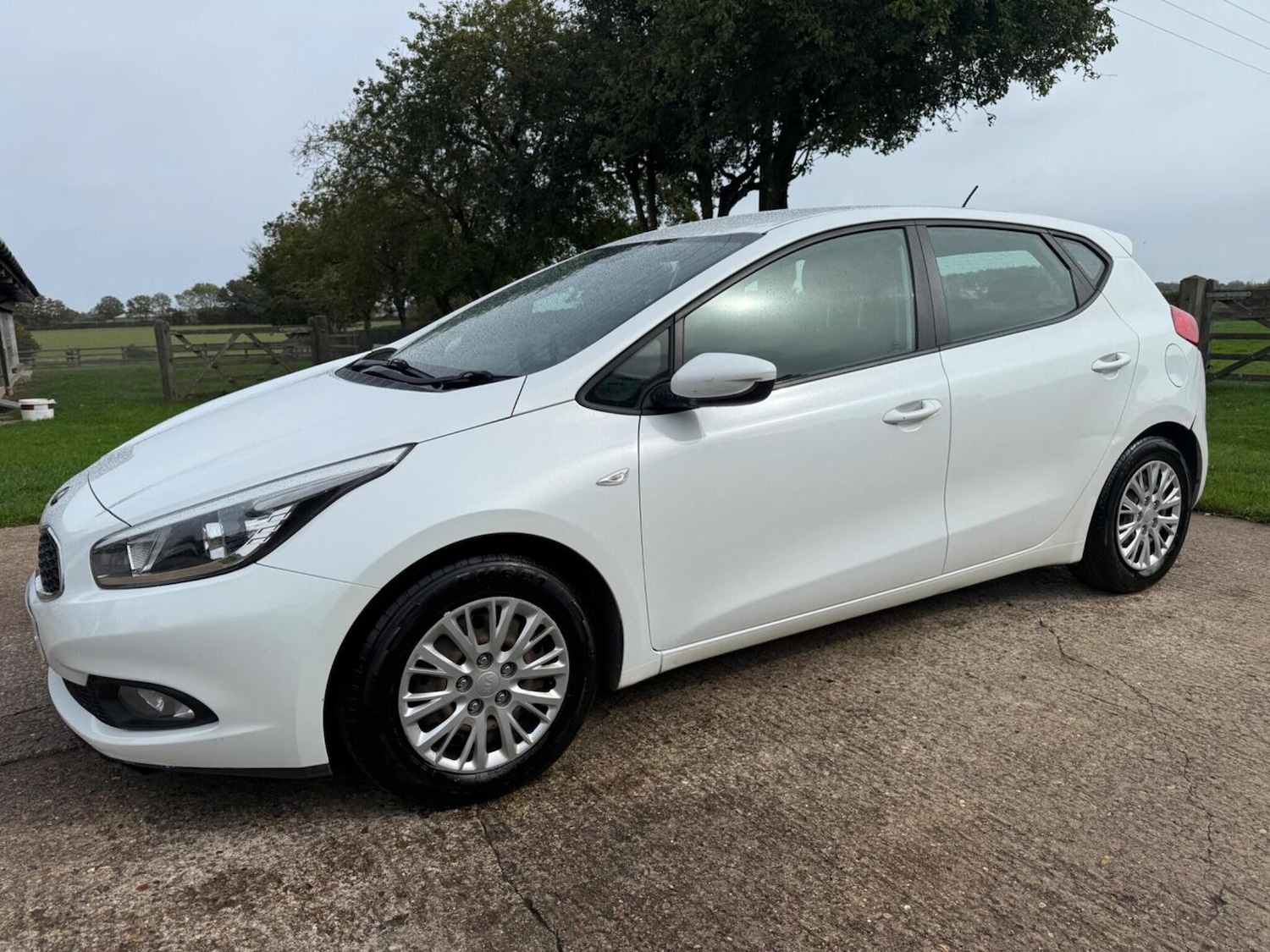 Used Kia Ceed 2015 for sale - 76177069: Photo 3