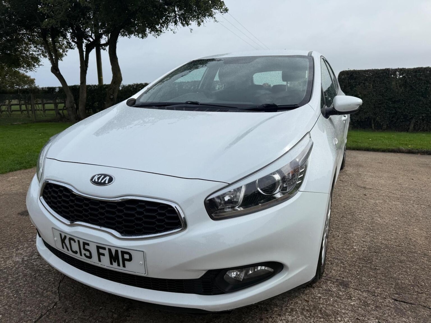 Used Kia Ceed 2015 for sale - 76177069: Photo 31