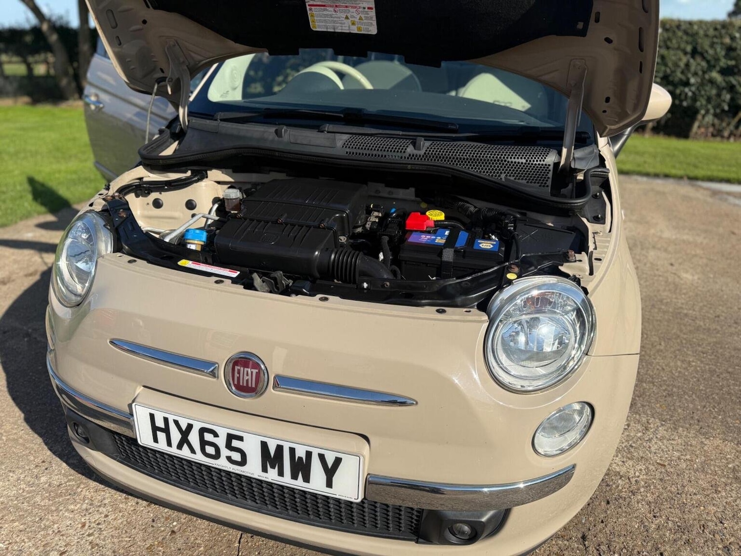 Vehicle 44
