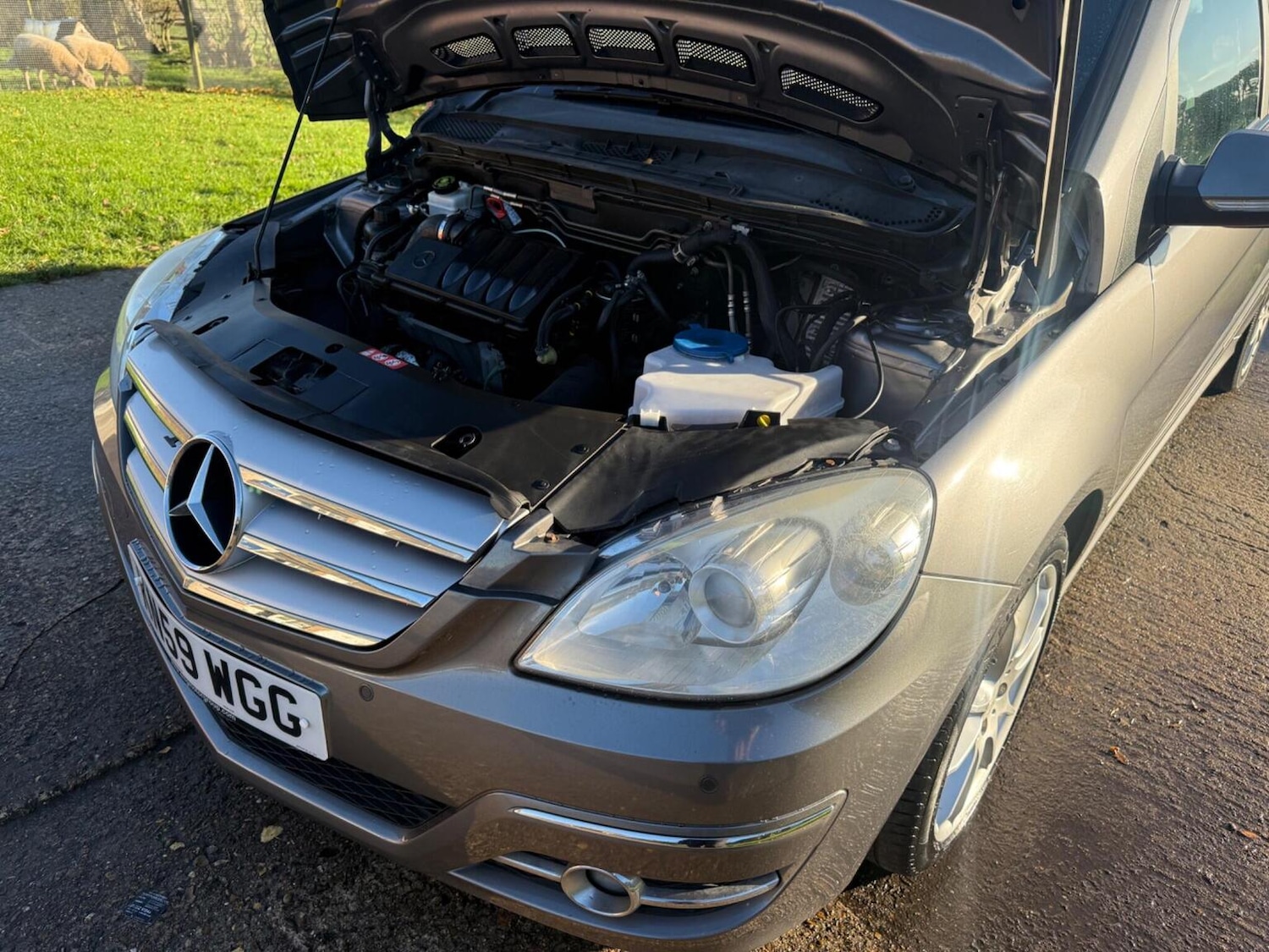 Used Mercedes-Benz B Class 2009 for sale - 76837051: Photo 48