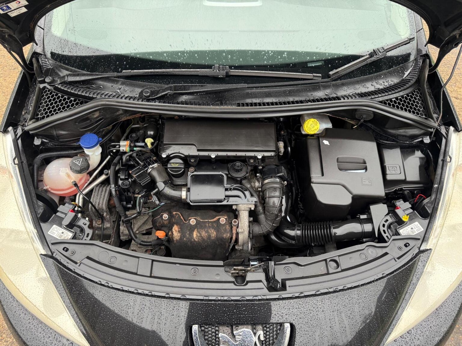 Used Peugeot 207 2010 for sale - 77289102: Photo 30