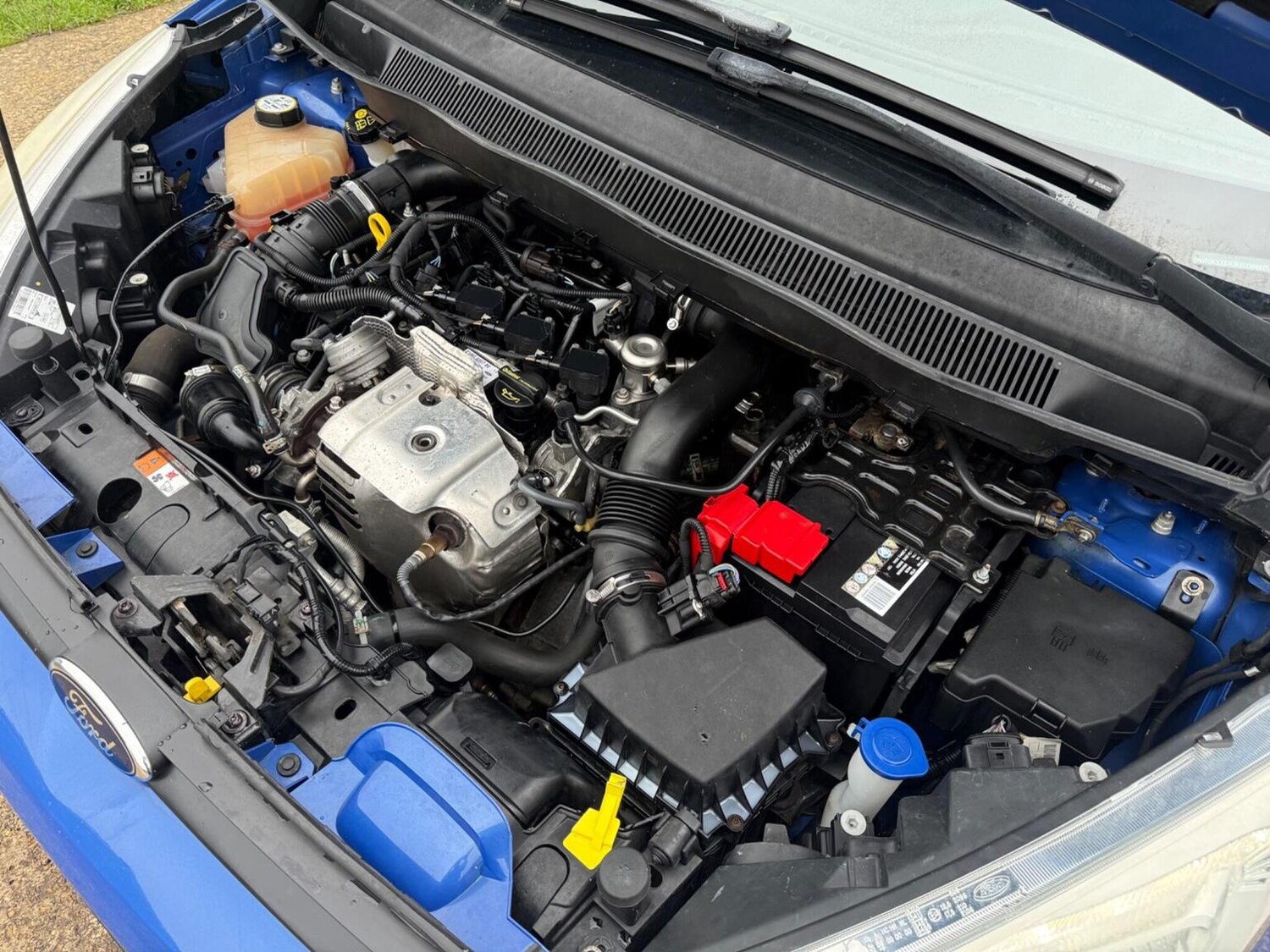 Used Ford B-MAX 2015 for sale - 77558652: Photo 37