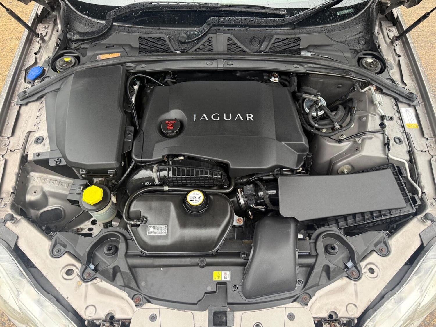 Used Jaguar XF 2010 for sale - 77213495: Photo 39