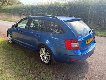 Used Skoda Octavia 2017 for sale - 75653875: Photo