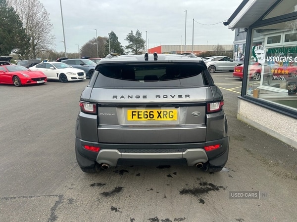 Used Land Rover Range Rover Evoque 2016 for sale - 77958827: Photo 6