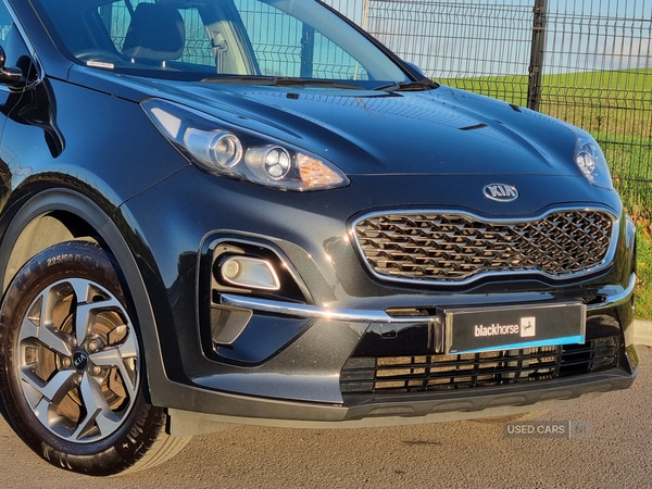 Used Kia Sportage 2019 for sale - 77697340: Photo 5