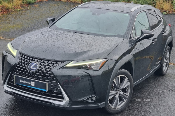 Used Lexus UX 2022 for sale - 76095458: Photo 1