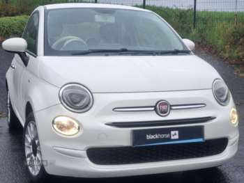 Used Fiat 500 2016 for sale - 74373117: Photo